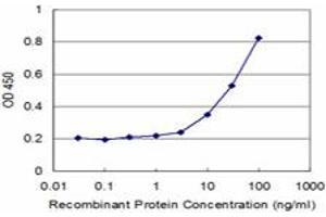 Detection limit for recombinant GST tagged PCGF2 is approximately 3ng/ml as a capture antibody. (PCGF2 antibody  (AA 236-294))