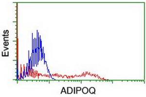 HEK293T cells transfected with either RC215161 overexpress plasmid (Red) or empty vector control plasmid (Blue) were immunostained by anti-ADIPOQ antibody (ABIN2455281), and then analyzed by flow cytometry. (ADIPOQ antibody  (AA 19-244))