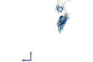 AlphaFold protein structure predicition of Human Recombinant NOSTRIN Protein, UniprotID Q8IVI9