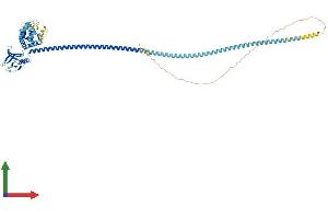 Protein Structure (PS) image for Differentially Expressed in FDCP 6 Homolog (DEF6) (AA 1-630) protein (His tag) (ABIN7564507)
