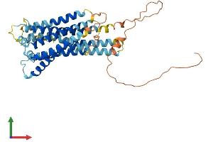AlphaFold protein structure predicition of Mouse Recombinant Gpr143 Protein, UniprotID P70259