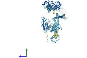 AlphaFold protein structure predicition of Mouse Recombinant Smc2 Protein, UniprotID Q8CG48