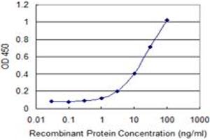 Detection limit for recombinant GST tagged C17orf37 is 0. (C17orf37 antibody  (AA 1-115))