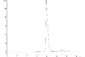 Size-exclusion chromatography-High Pressure Liquid Chromatography (SEC-HPLC) image for CD5 (CD5) (AA 25-375) protein (His-Avi Tag) (ABIN7274209)