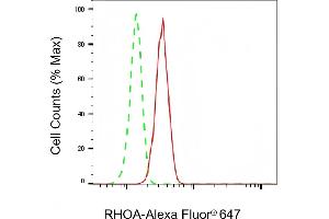 Flow cytometric analysis of RHOA expression in C2C12 cells using RHOA antibody (ABIN7800142), 1:2,000).