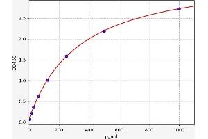 FGF6 ELISA Kit