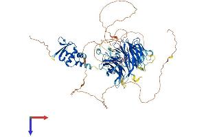 AlphaFold protein structure predicition of Mouse Recombinant Kctd3 Protein, UniprotID Q8BFX3 (KCTD3 Protein (AA 1-815) (His tag))