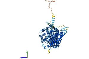 AlphaFold protein structure predicition of Mouse Recombinant Clcnkb Protein, UniprotID Q9WUB6
