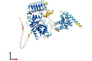 AlphaFold protein structure predicition of Mouse Recombinant Eif2b5 Protein, UniprotID Q8CHW4 (EIF2B5 Protein (AA 1-717) (His tag))