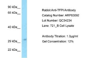 Western Blotting (WB) image for anti-Tissue Factor Pathway Inhibitor (Lipoprotein-Associated Coagulation Inhibitor) (TFPI) (Middle Region) antibody (ABIN2789367) (TFPI antibody  (Middle Region))