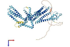 AlphaFold protein structure predicition of Human Recombinant RNF145 Protein, UniprotID Q96MT1 (RNF145 Protein (AA 1-663) (His tag))