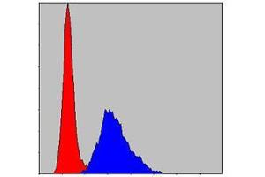 Flow cytometric analysis of NIH/3T3 cells using KID mouse mAb (blue) and negative control (red). (KIF22 antibody)