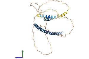 AlphaFold protein structure predicition of Mouse Recombinant Pawr Protein, UniprotID Q925B0