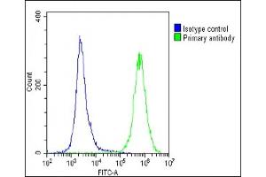 Overlay histogram showing U-2 OS cells stained with (ABIN656946 and ABIN2846135)(green line). (DUX4 antibody  (C-Term))