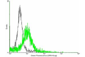 FACS analysis of negative control 293 cells (Black) and SMAD6 expressing 293 cells (Green) using SMAD6 purified MaxPab mouse polyclonal antibody. (SMAD6 antibody  (AA 1-496))