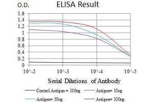 Black line: Control Antigen (100 ng), Purple line: Antigen(10 ng), Blue line: Antigen (50 ng), Red line: Antigen (100 ng), (MAPK14 antibody  (AA 299-360))