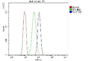 Flow Cytometry analysis of HL-60 cells using anti-Thioredoxin 2/TXN2 antibody (ABIN7602148).