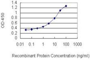 Detection limit for recombinant GST tagged RCSD1 is 0. (RCSD1 antibody  (AA 181-289))