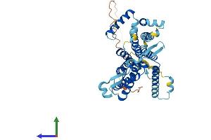 AlphaFold protein structure predicition of Human Recombinant CDS1 Protein, UniprotID Q92903 (CDS1 Protein (AA 1-461) (His tag))