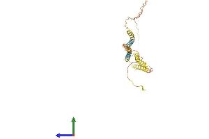 AlphaFold protein structure predicition of Human Recombinant ODF4 Protein, UniprotID Q2M2E3 (ODF4 Protein (AA 1-257) (His tag))