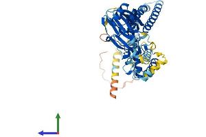 Protein Structure (PS) image for Amiloride-Sensitive Cation Channel 5, Intestinal (ACCN5) (AA 1-505) protein (His tag) (ABIN7552473)