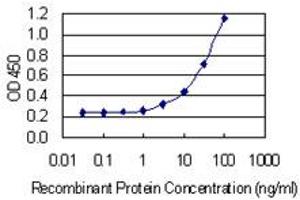 Detection limit for recombinant GST tagged OSTM1 is 1 ng/ml as a capture antibody. (OSTM1 antibody  (AA 183-282))