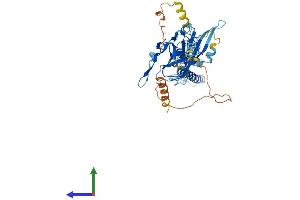 AlphaFold protein structure predicition of Human Recombinant KCNJ16 Protein, UniprotID Q9NPI9