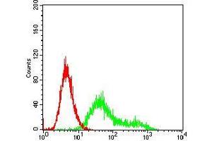 Flow Cytometry (FACS) image for anti-Casein Kinase 2, beta (CSNK2B) (AA 1-215) antibody (ABIN5542448)