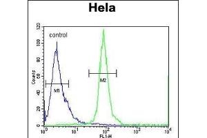 ESCO2 Antibody (Center) (ABIN654674 and ABIN2844369) flow cytometric analysis of Hela cells (right histogram) compared to a negative control cell (left histogram). (ESCO2 antibody  (AA 132-161))