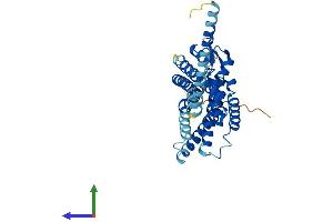 Protein Structure (PS) image for Purinergic Receptor P2Y, G-Protein Coupled, 1 (P2RY1) (AA 1-373) protein (His tag) (ABIN7563342)