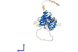 Protein Structure (PS) image for Transcription Factor CP2-Like 1 (TFCP2L1) (AA 1-479) protein (His tag) (ABIN7557247)