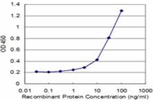 Detection limit for recombinant GST tagged ITM2B is approximately 1ng/ml as a capture antibody. (ITM2B antibody  (AA 146-245))