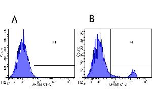 Flow-cytometry using anti-CD8beta antibody YTS 156.