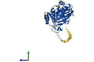 AlphaFold protein structure predicition of Human Recombinant GAPDHS Protein, UniprotID O14556 (GAPDHS Protein (AA 1-408) (His tag))