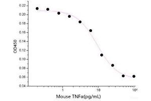ELISA image for Tumor Necrosis Factor alpha (TNF alpha) (Active) protein (ABIN7320677) (TNF alpha Protein)