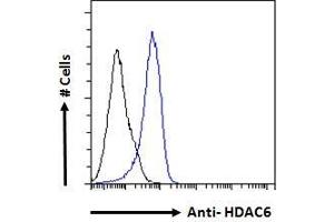 ABIN5539540 Flow cytometric analysis of paraformaldehyde fixed A431 cells (blue line), permeabilized with 0. (HDAC6 antibody  (C-Term))