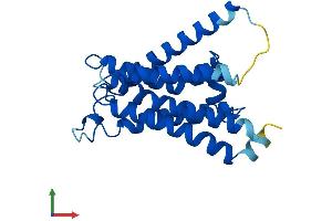Protein Structure (PS) image for Phosphatidylinositol Glycan F (PIGF) (AA 1-219) protein (His tag) (ABIN7550702)