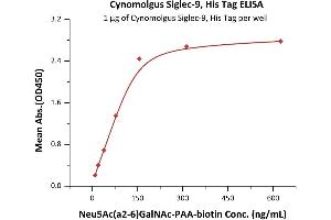 ELISA image for Sialic Acid Binding Ig-Like Lectin 9 (SIGLEC9) (AA 20-350) (Active) protein (His tag) (ABIN6952291)