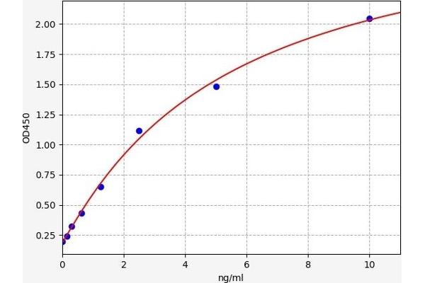 KLF10/TIEG1 ELISA Kit