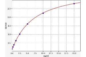 Integrin beta 2 ELISA Kit