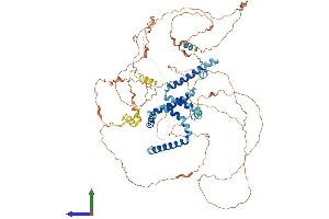 AlphaFold protein structure predicition of Human Recombinant RTN1 Protein, UniprotID Q16799 (Reticulon 1 Protein (RTN1) (AA 1-776) (His tag))