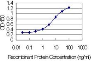 Detection limit for recombinant GST tagged ODAM is 0. (ODAM antibody  (AA 1-153))