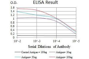 Black line: Control Antigen (100 ng), Purple line: Antigen(10 ng), Blue line: Antigen (50 ng), Red line: Antigen (100 ng), (MRPL42 antibody  (AA 10-142))