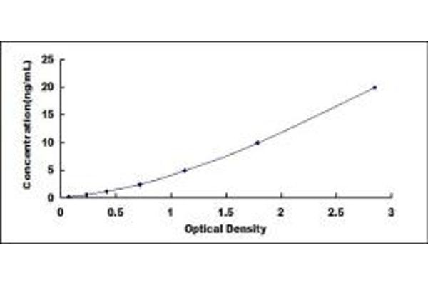 PNPLA3 ELISA Kit