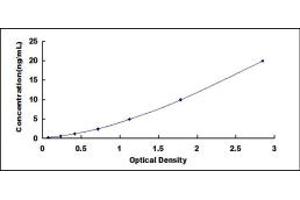 Typical standard curve (PNPLA3 ELISA Kit)