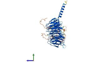 Protein Structure (PS) image for WD Repeat Domain 41 (WDR41) (AA 1-459) protein (His tag) (ABIN7545187)