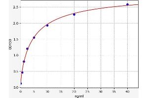 Typical standard curve (LUM ELISA Kit)