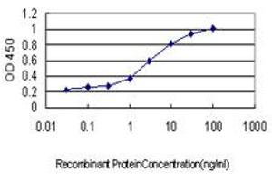 Detection limit for recombinant GST tagged DNAI2 is approximately 0.