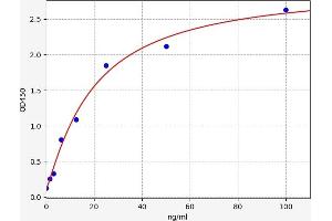 SFTPB ELISA Kit