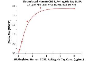 Immobilized A MAb, Human IgG1 at 5 μg/mL (100 μL/well) can bind Biotinylated Human CD38, Avitag,His Tag (ABIN3137679,ABIN5674028) with a linear range of 0. (CD38 Protein (AA 43-300) (His tag,AVI tag,Biotin))